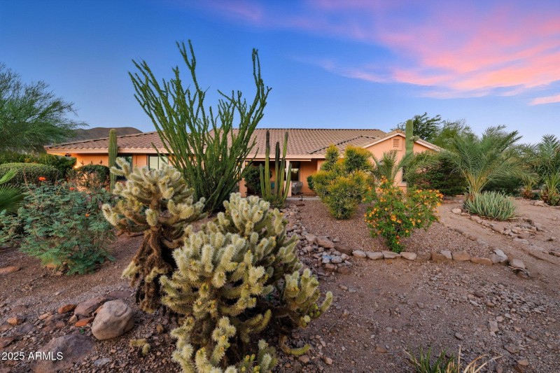 98-web-or-mls-Open Sky-twilight-2