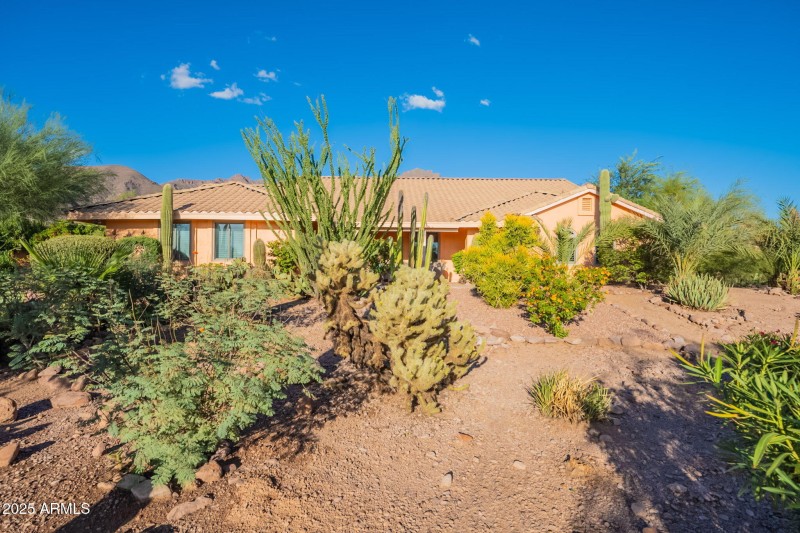 2-web-or-mls-Open Sky-2