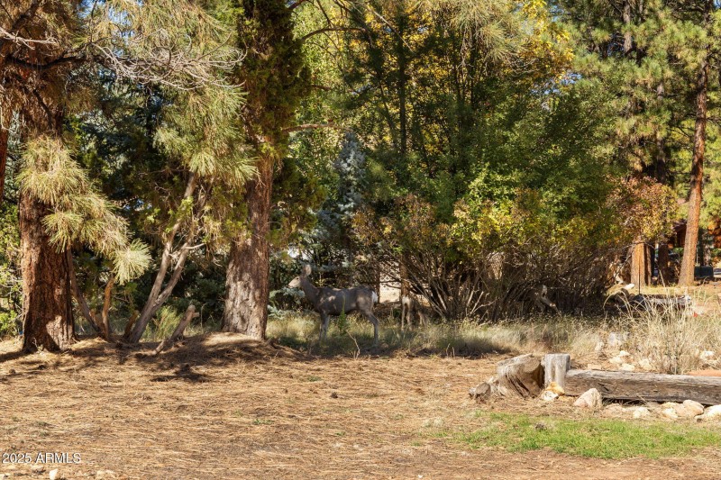 2289 N Elk Run St- ELK