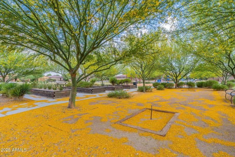 Community Horseshoe Pit