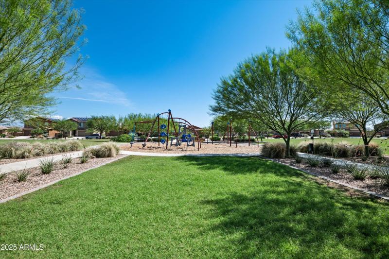 Grassy Fields in La Estancia