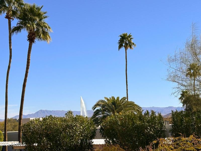 Fountain Views