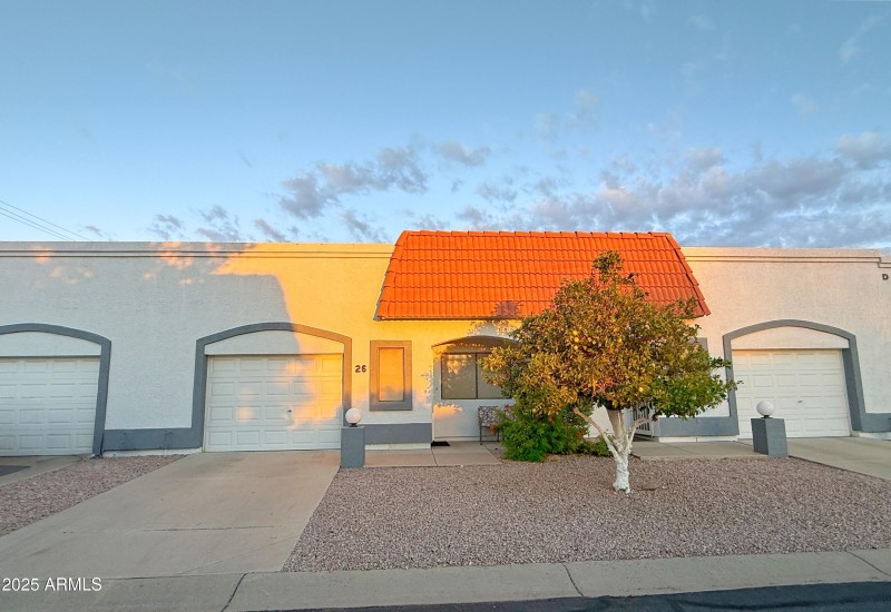 IMG_2420_genErase_genErase