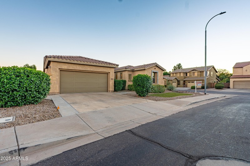 453WLantanaPL_BYRYBICKIMEDIA-51