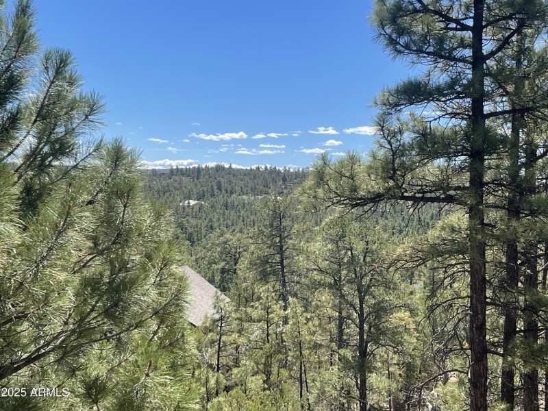 Nothing to Block Your View