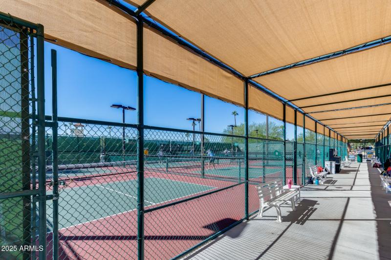Pickleball Courts