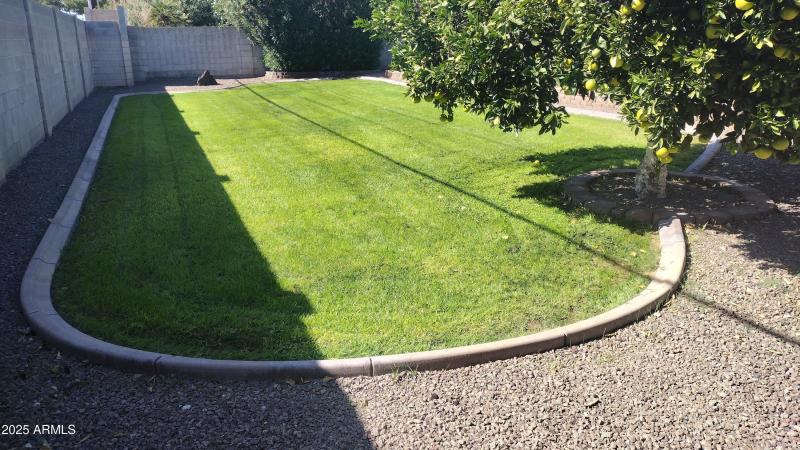 IMG_20251023_124715359