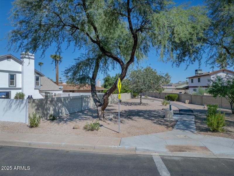 walking path behind house