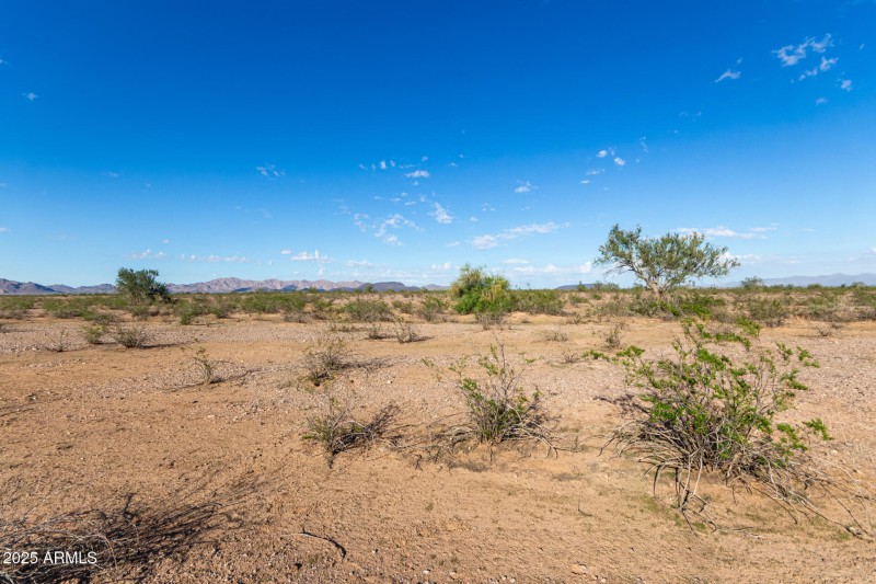 08 - 50635025P Parcel