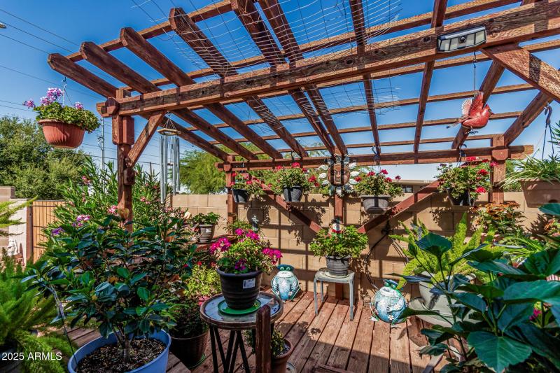 Versatile Pergola