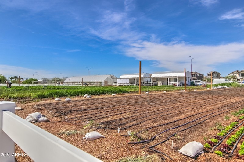 Eastmark Community-42