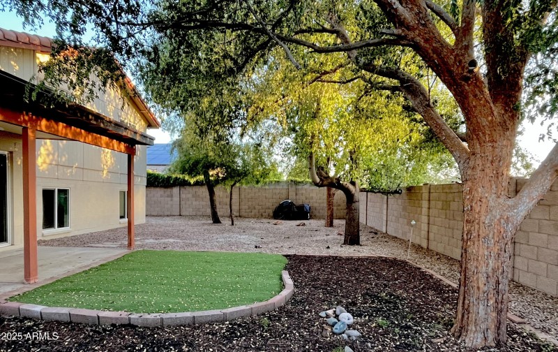 spacious shaded yard
