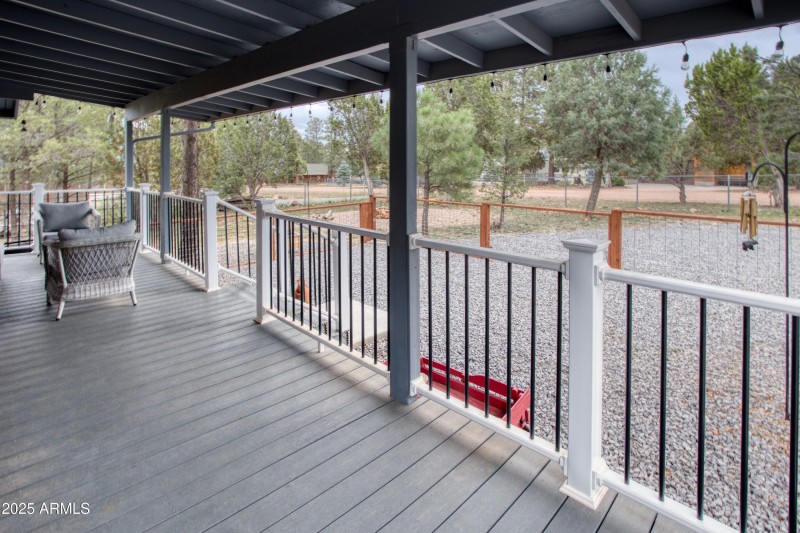 Paxmanphoto_PAX_8177