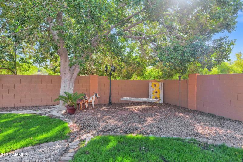 48-web-or-mls-P1338201