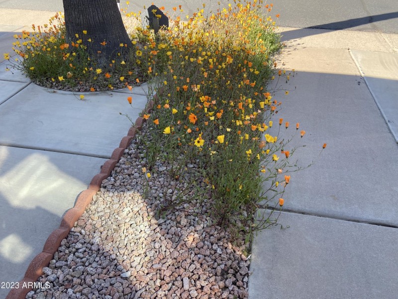 BB0F9090-A28B-4AF0-AA77-3429DD85A2A1