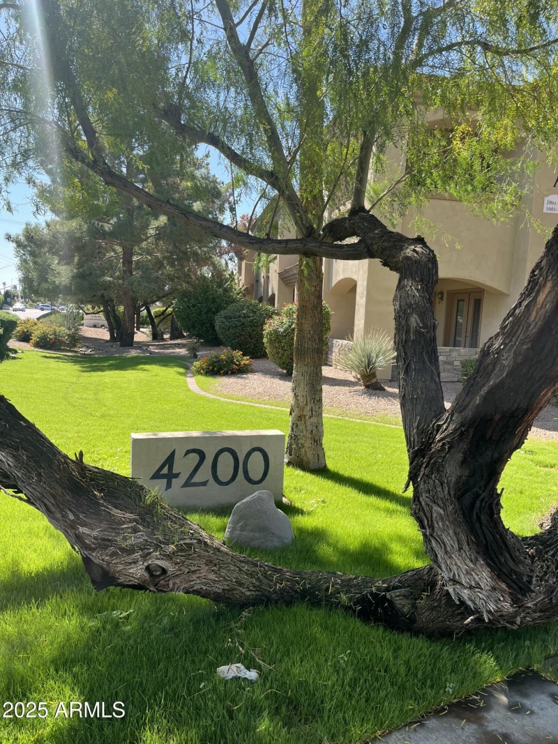 20251024_183450850_iOS