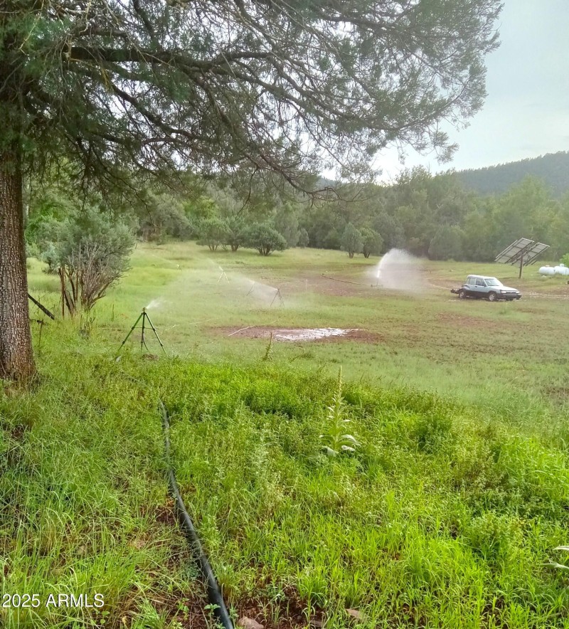 Irrigating E Pasture fr Trunk Line & Cre