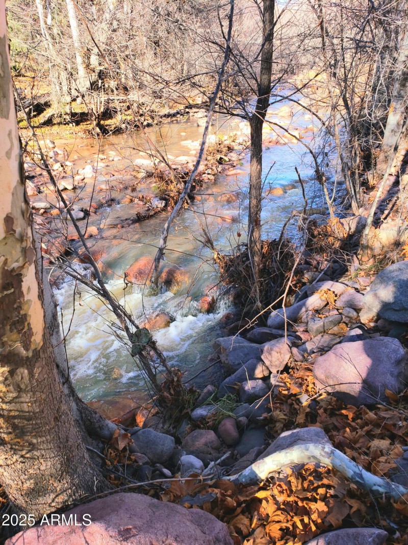 Gordon Creek Flowing in Winter