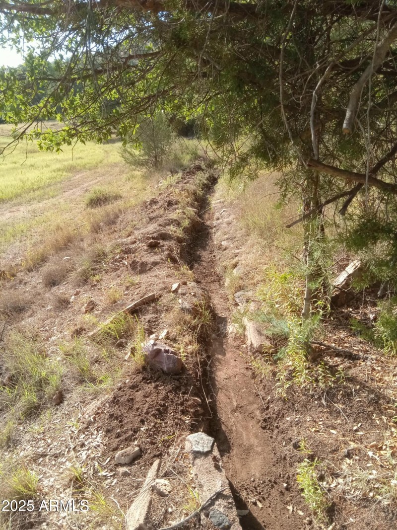Irrigation Ditch in W Ctr Pasture