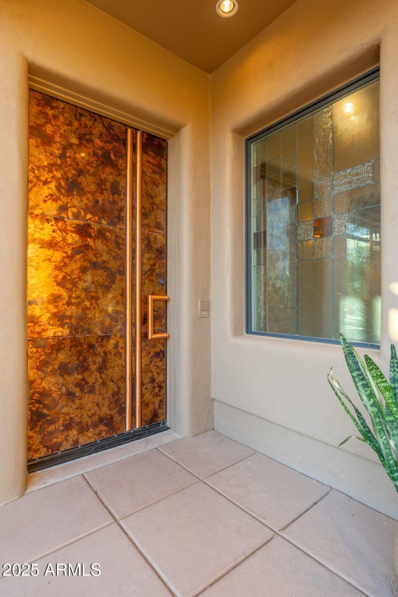 Gorgeous Copper Entrance Door