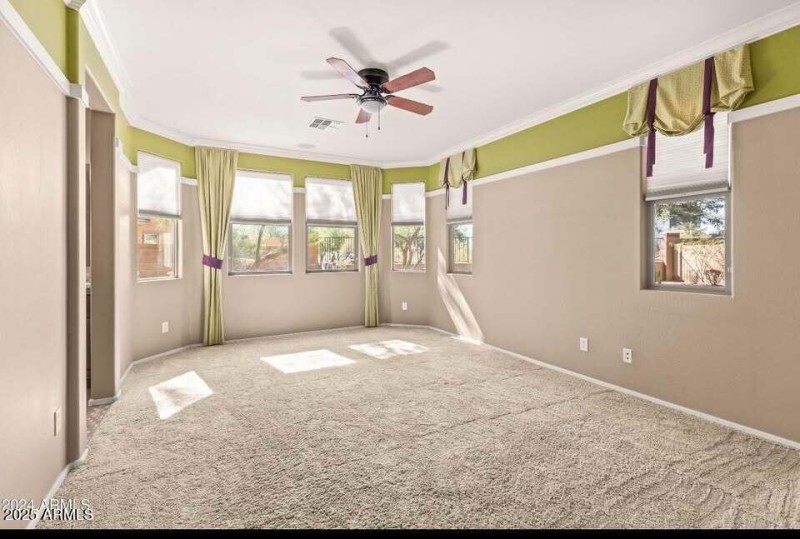 563498541_1084071210242840_6857765325134