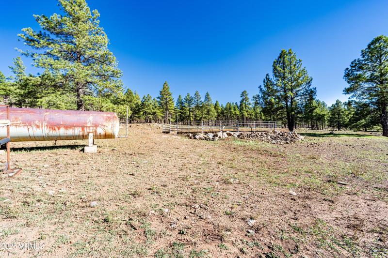 Invoice 2025101401-33