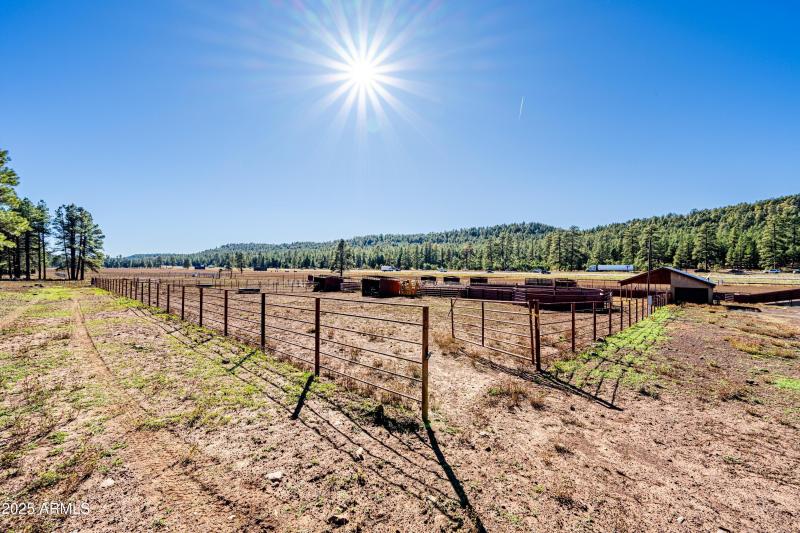 Invoice 2025101401-35