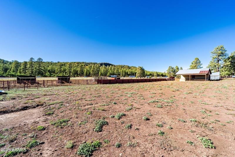 Invoice 2025101401-28