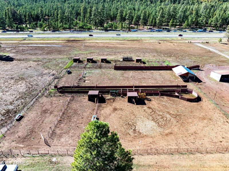 Horse/Cattle Fixtures