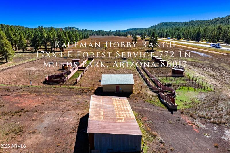 Invoice 2025101401-15 (With Address)