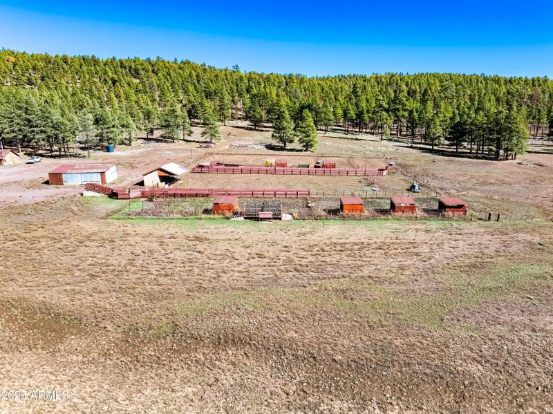 Invoice 2025101401-17