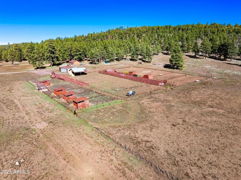 Invoice 2025101401-18