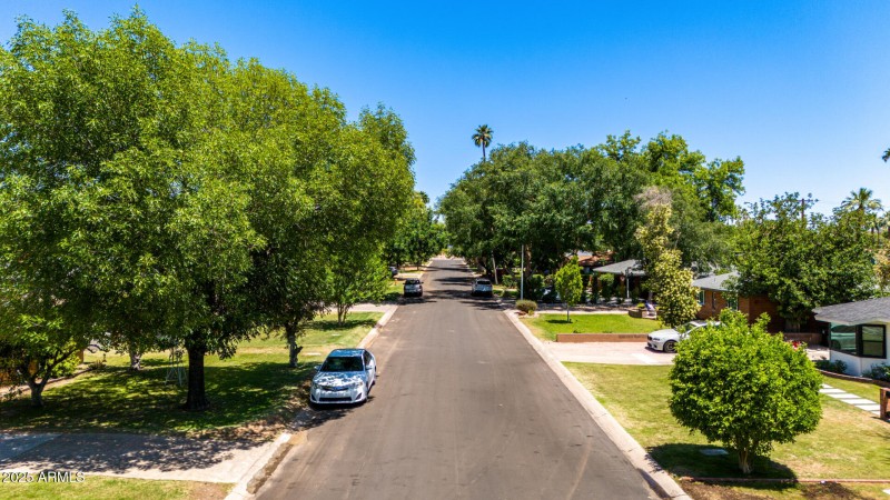 Tree Lined Palo Verde Dr