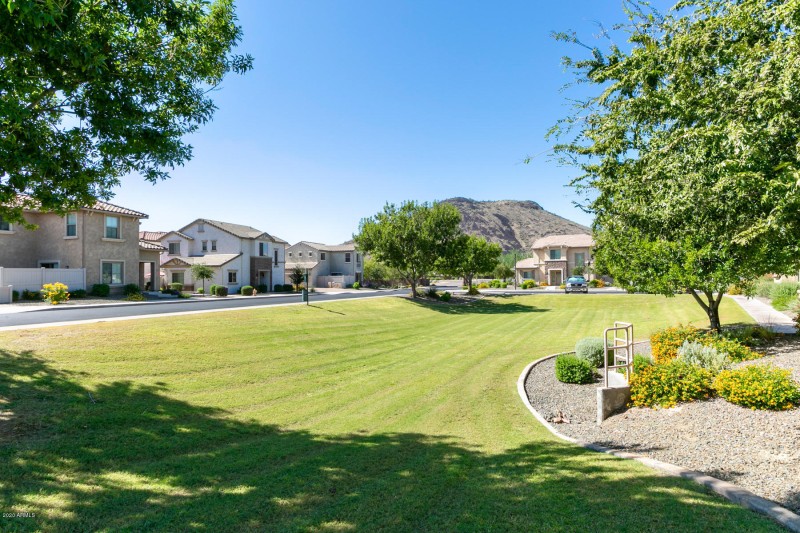 26313 N Babbling Brook - Exterior-1