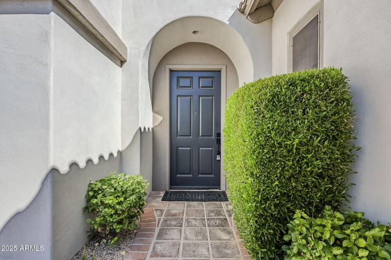 6-web-or-mls-Donatello-6