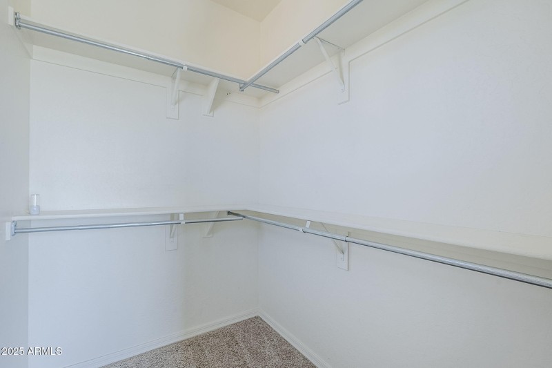 43-web-or-mls-Donatello-43