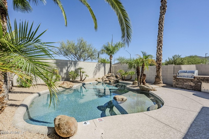 48-web-or-mls-Donatello-48