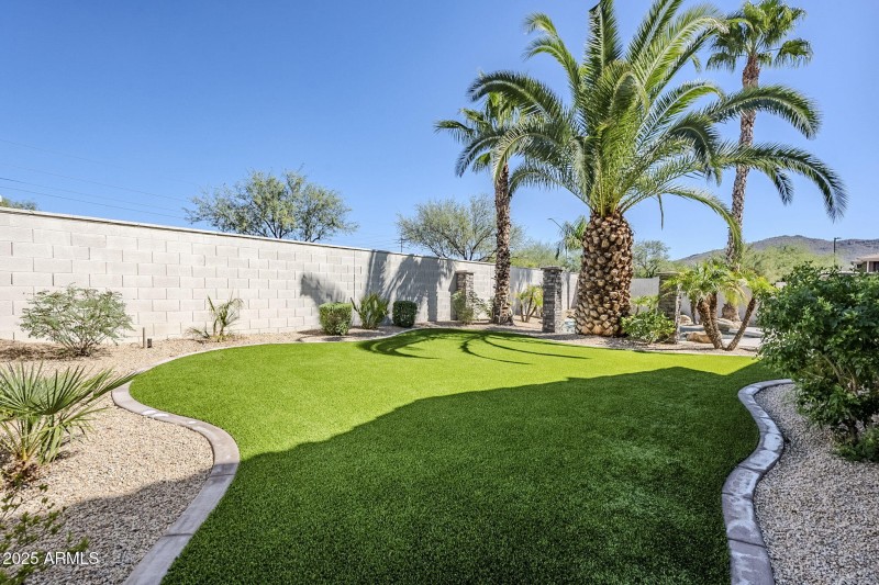 52-web-or-mls-Donatello-52