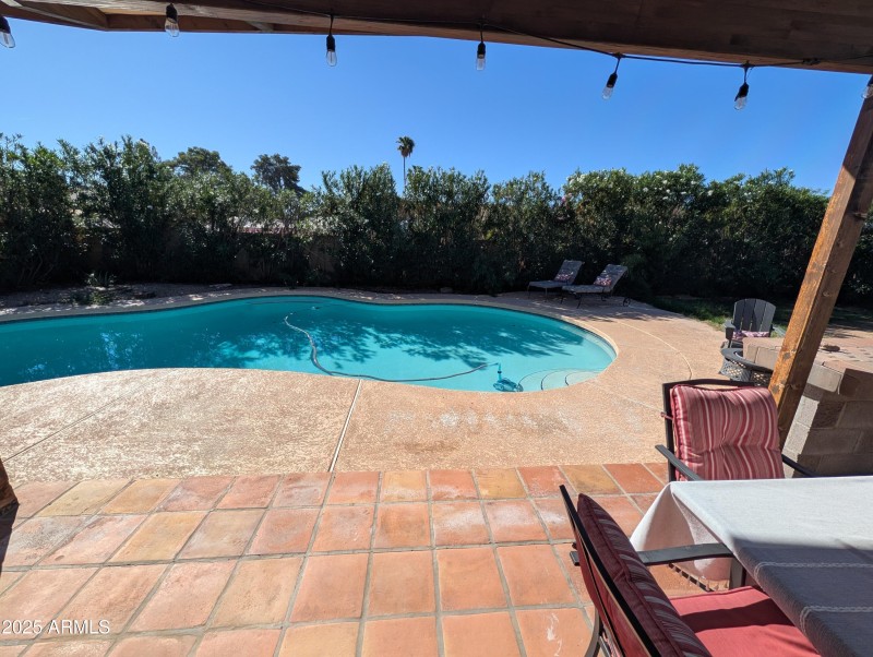 PXL_20251020_165946502