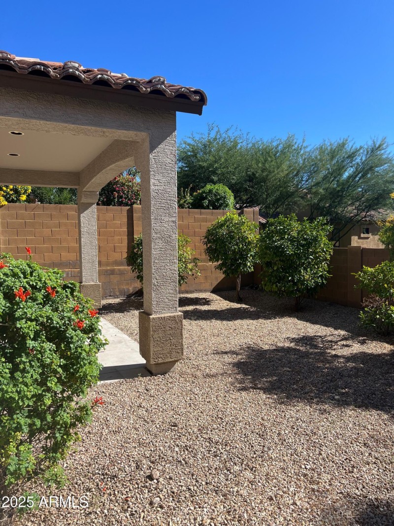 Backyard from patio #2