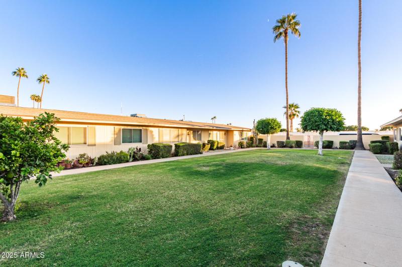Courtyard Landscaping