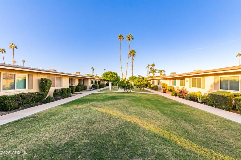 Courtyard Palm Trees and Grass Area
