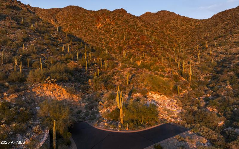 Highest elevation lot in Silverleaf