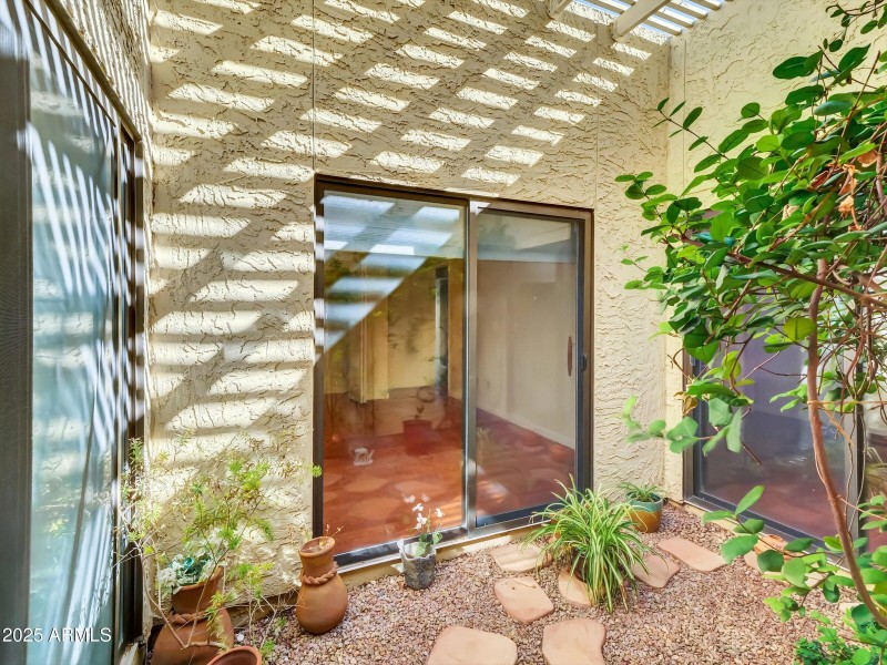 Another view of terrarium