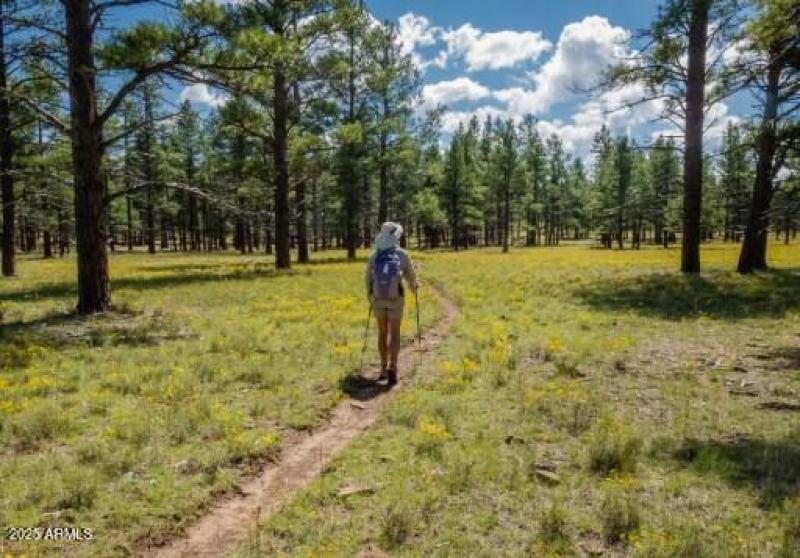 Trails-walking and motorized