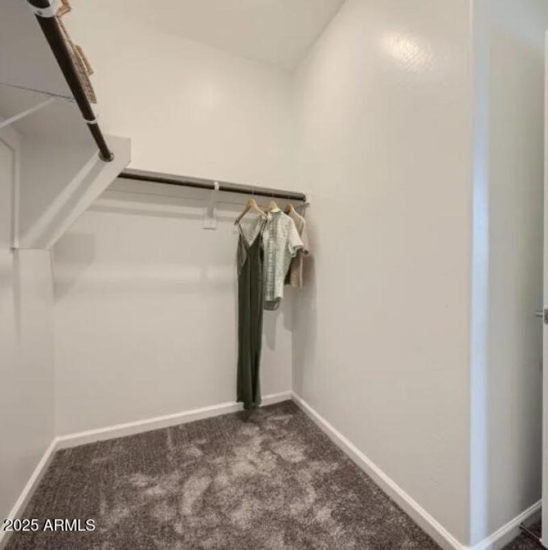 Owners Walk in Closet