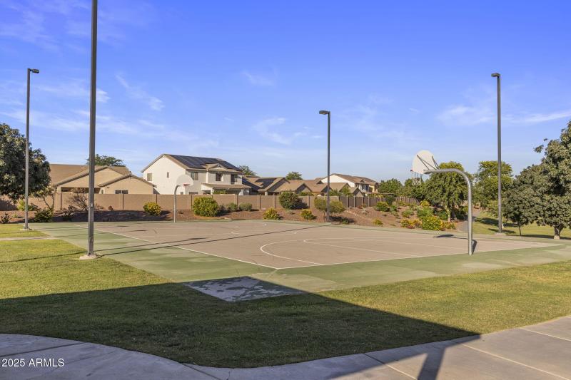 Basketball Court