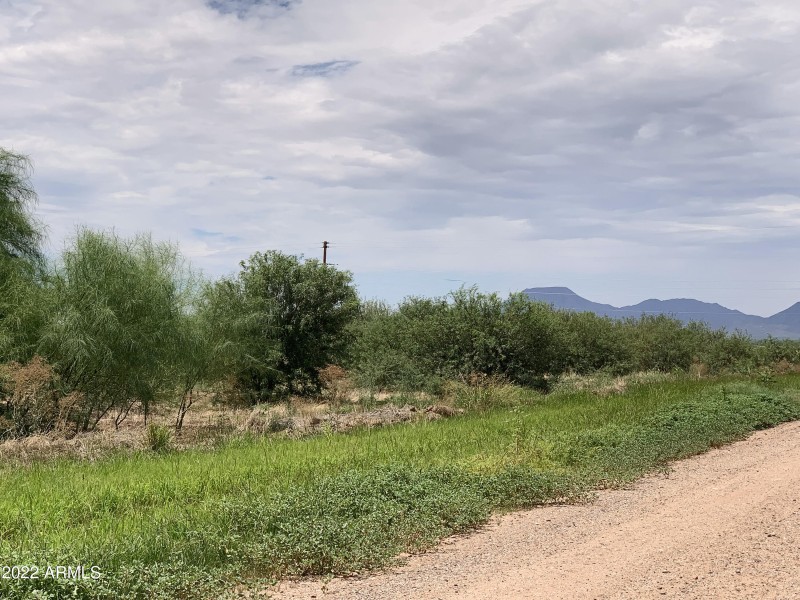 Crops in All Adjacent Fields!
