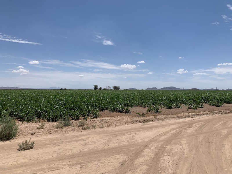 Two Parcels Available!