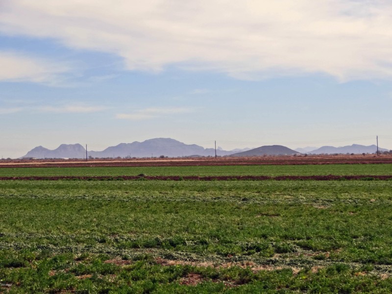 Ready for Your Crops!